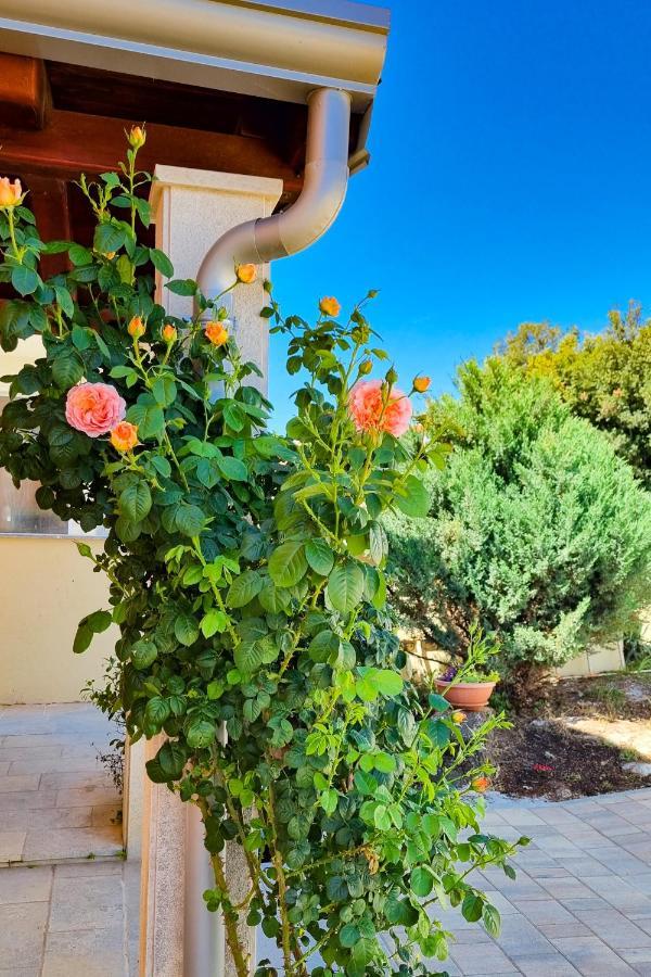 Holiday Home - Istrian Dream With Swimming Pool ペロイ エクステリア 写真