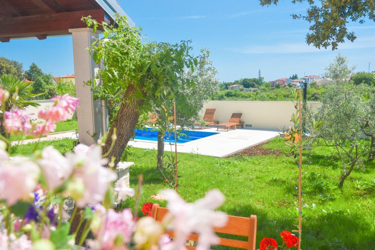 Holiday Home - Istrian Dream With Swimming Pool ペロイ エクステリア 写真